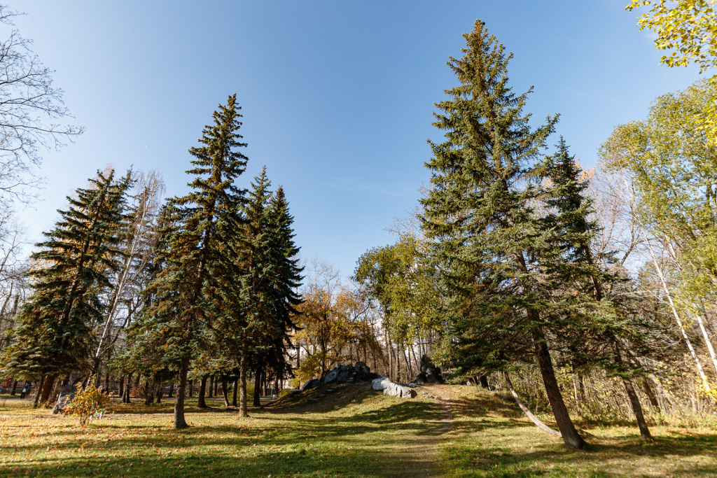 14.Ботаны.JPG