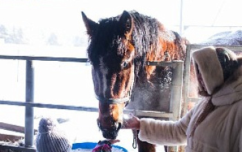 Талицкая перепелиная ферма